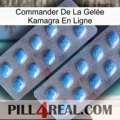 Commander De La Gelée Kamagra En Ligne viagra4